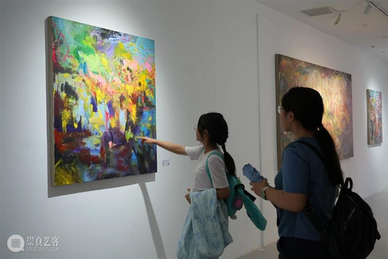 展览回顾 | 悦·留学生艺术计划“暗影”——聂伟平个展 视频资讯 崇真艺客